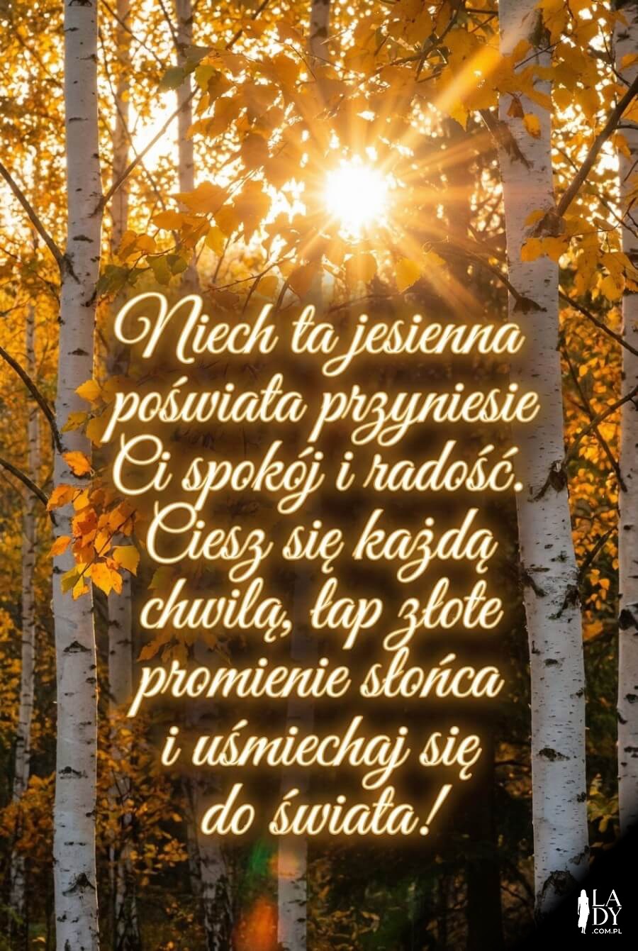 Kartka z życzeniami na tle brzozowego gaju w złotych kolorach jesieni z magiczną poświatą słońca