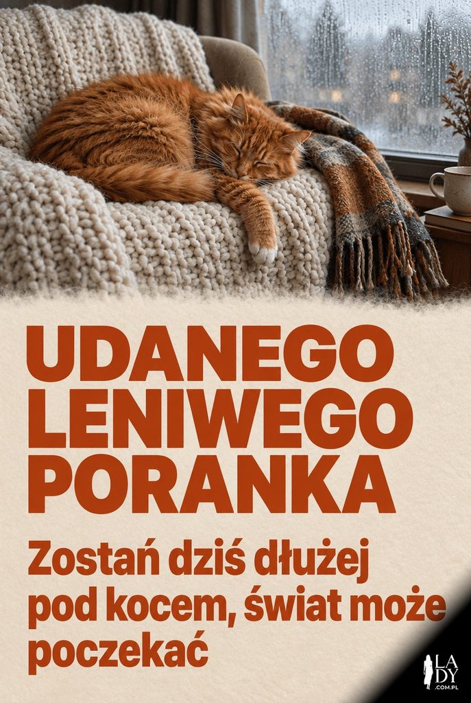 Śpiący kot na dzianej kołdrze przy deszczowym oknie, z życzeniami „Udanego Leniwego Poranka”.