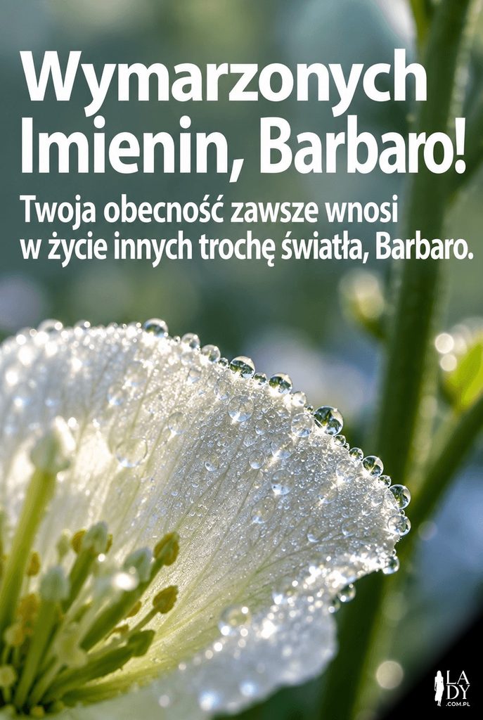 Makrofotograficzna kartka imieninowa dla Barbary z kroplami rosy na płatku ciemiernika i życzeniami „Wymarzonych Imienin, Barbaro!".