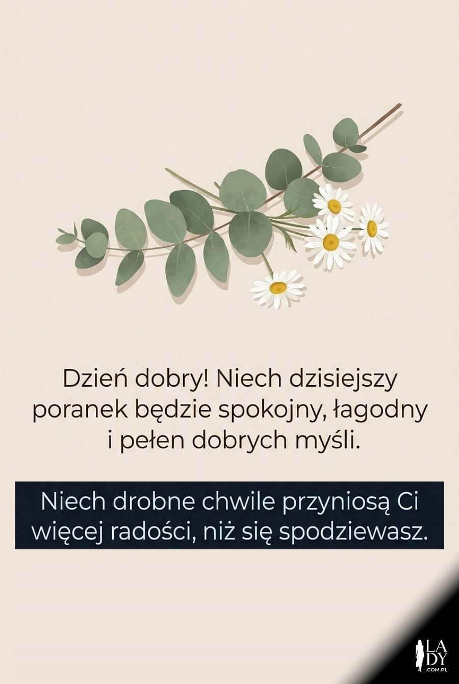 Minimalistyczna kartka na dzień dobry z gałązką eukaliptusa, stokrotkami i dużym napisem z łagodnymi życzeniami.