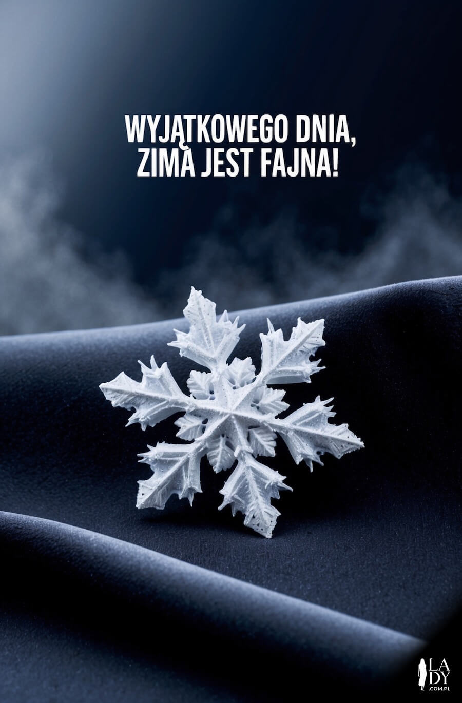 Ciekawa kompozycja, w ciemnej tonacji, cudowny płatek śniegu z bliska, z napisem: Wyjątkowego dnia, zima jest fajna