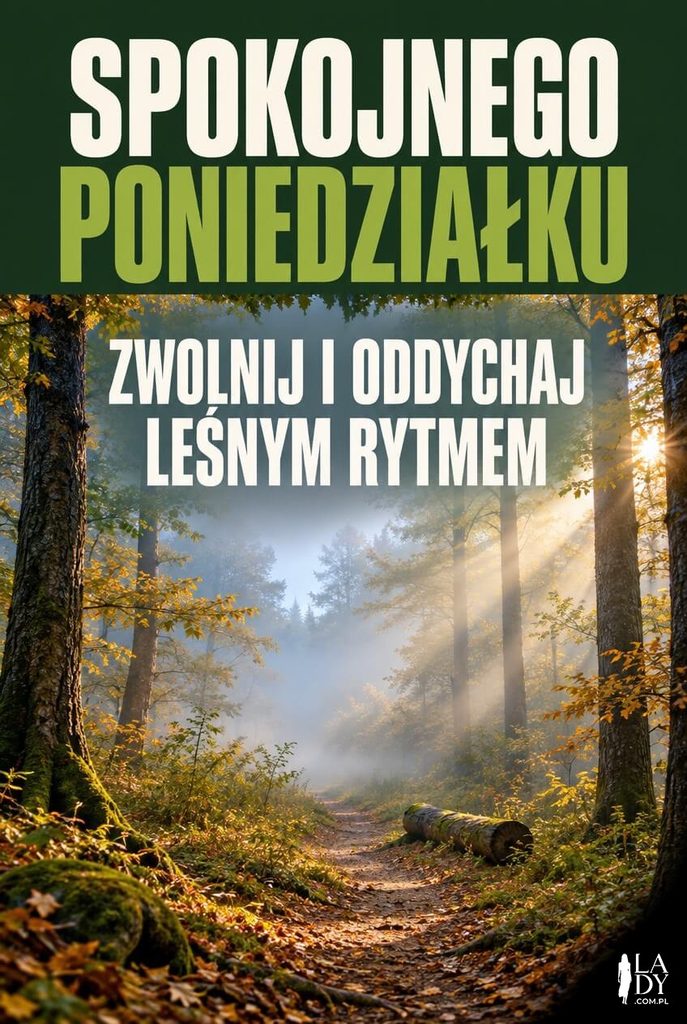 Kartka na poniedziałek z mglistym lasem i leśną ścieżką oraz napisem „Spokojnego poniedziałku".