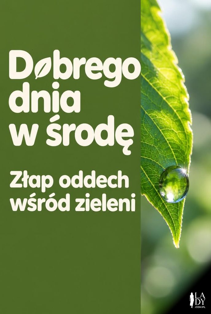 Kartka na środę z zielonym liściem w makro i napisem „Dobrego dnia w środę"