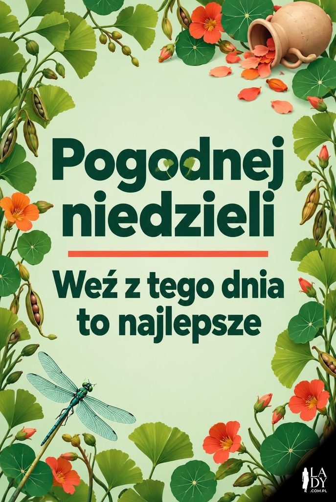 Kartka na spokojną niedzielę z roślinnym obramowaniem i ważką