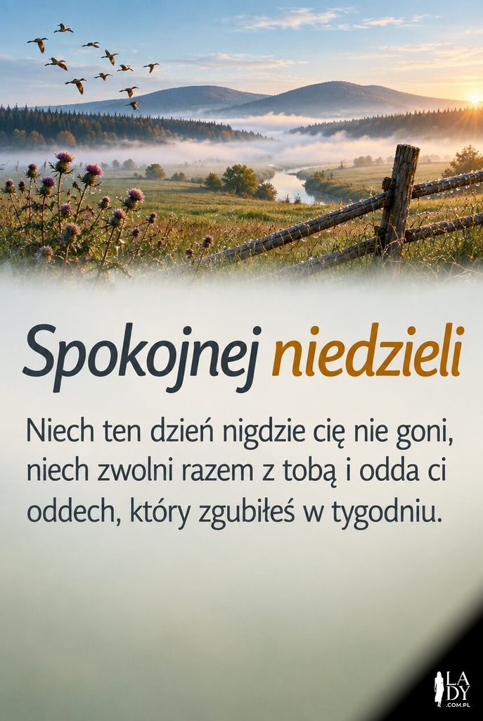 Kartka na niedzielę z poranną doliną we mgle i życzeniami spokojnego dnia