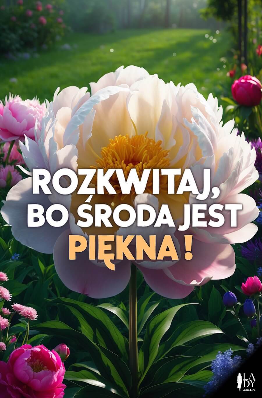Piękna ilustracja z kwitnącymi kwiatami w niesamowitym ogrodzie, z pozdrowieniami: Rozkwitaj, bo środa jest piękna