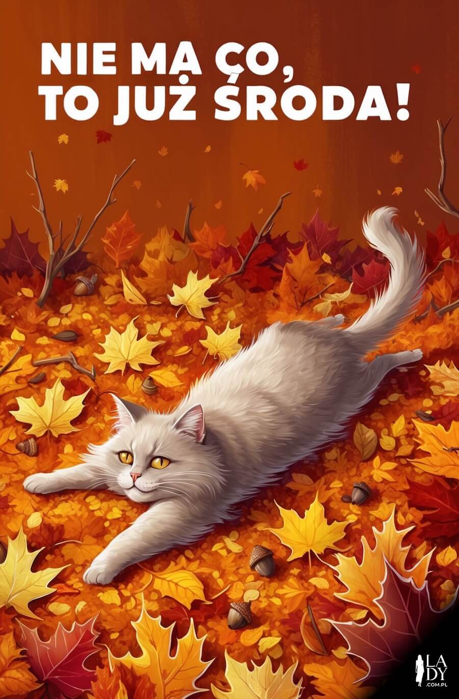 Zabawny obrazek z kotem rozciągającym się o poranku na jesiennych liściach, z napisem: Nie ma co, to już środa
