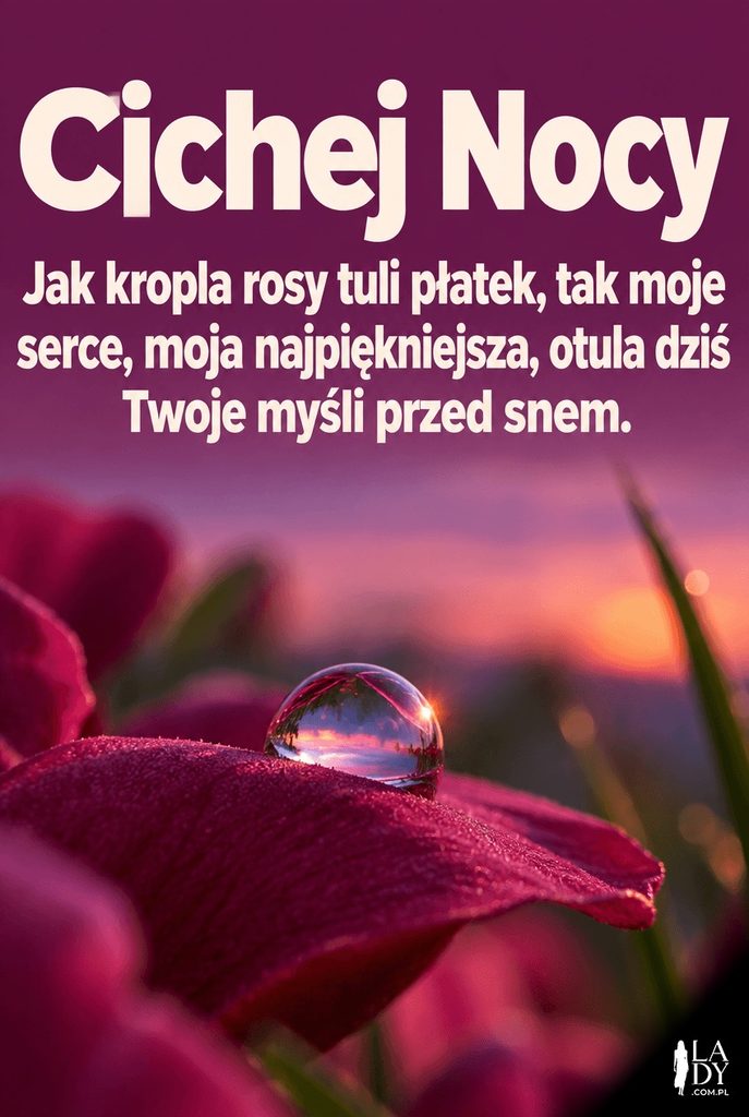 Makrofotografia kropli rosy na płatku kwiatu o zmierzchu z napisem „Cichej Nocy” i czułymi życzeniami dobranoc