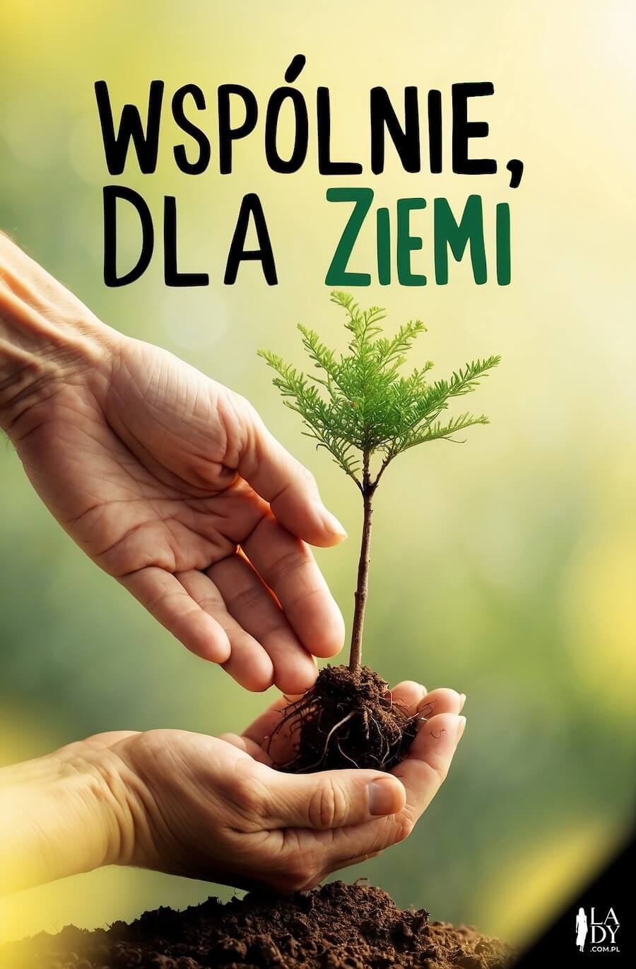 Inspirująca kartka na Dzień Ziemi, ludzkie dłonie podczas sadzenia nowej roślinki drzewa w glebie, z napisem: Wspólnie, dla ziemi