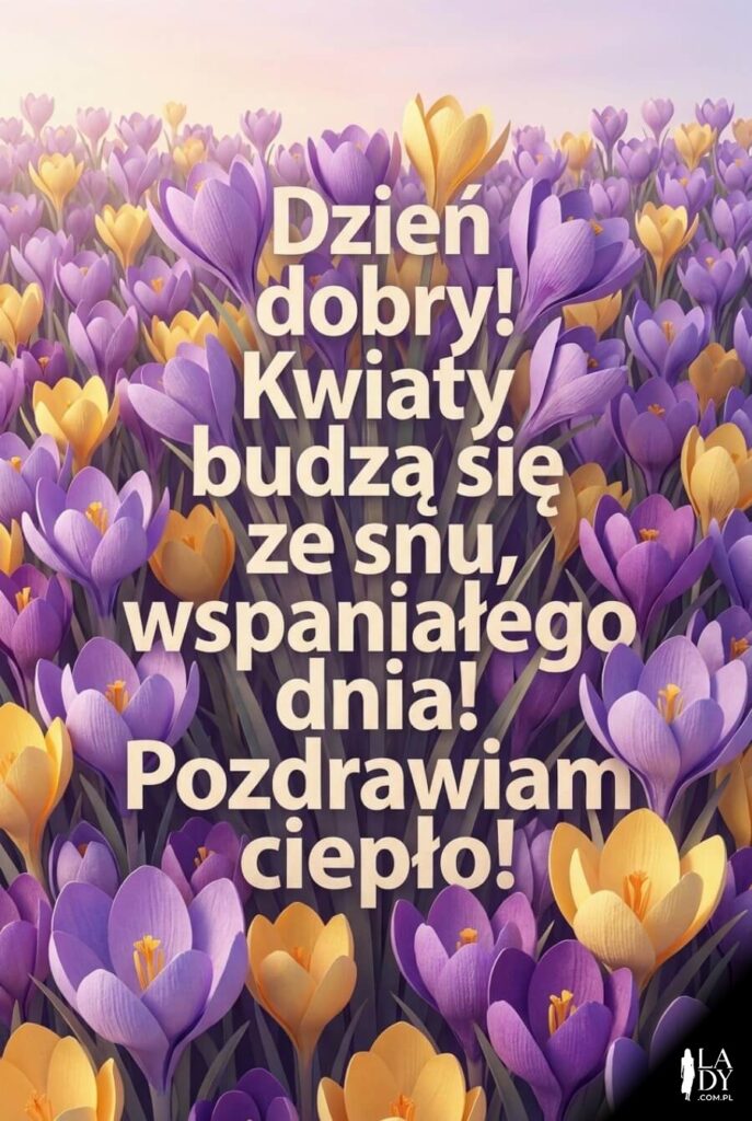 Warstwowa grafika z papierowymi krokusami i porannymi życzeniami.