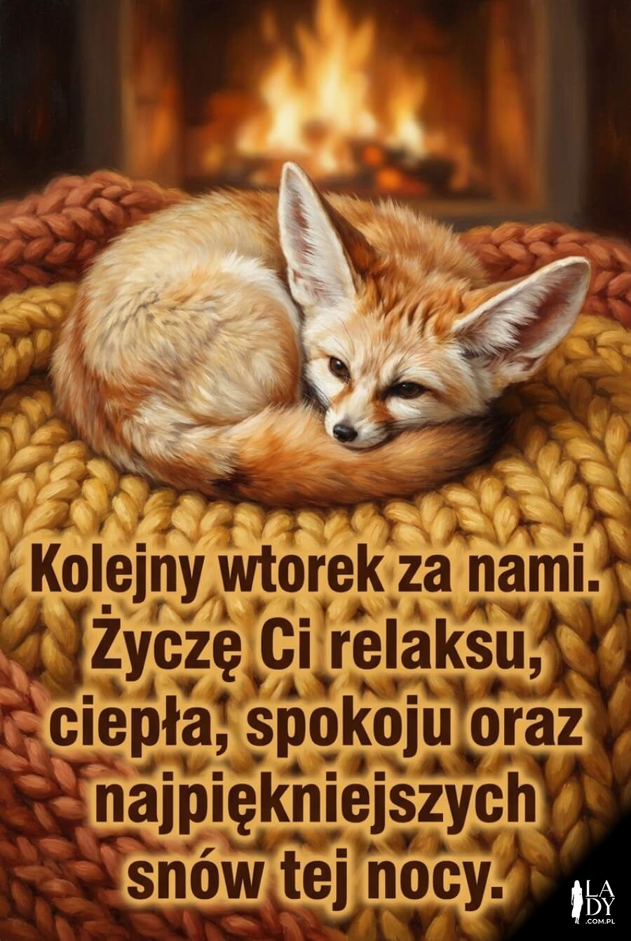 Puszysty zwierzak śpiący na kocu przy świetle kominka z wieczornymi życzeniami