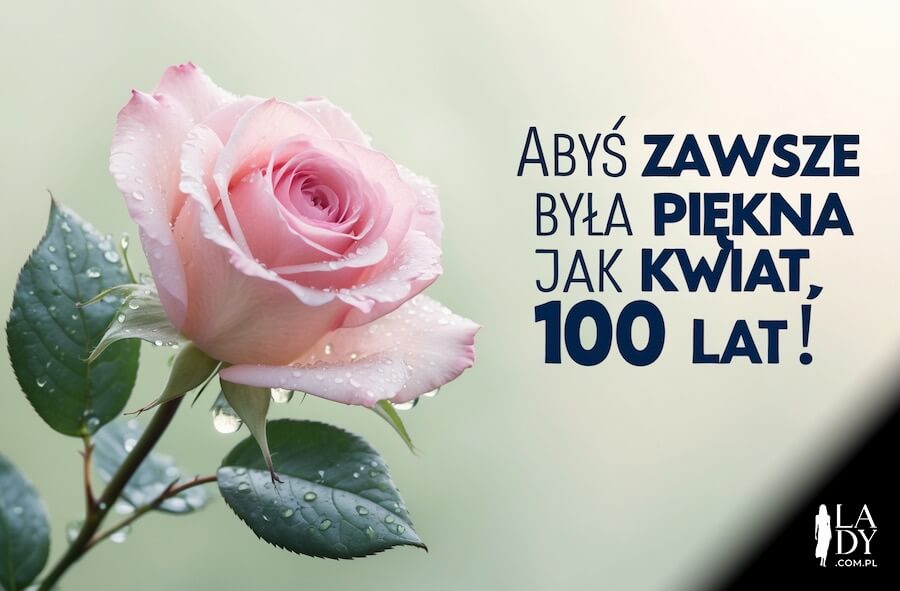 Piękna ilustracja do wysłania przyjaciółce, mokra róża zwilżona rosą, z pozdrowieniami: Abyś zawsze była piękna jak kwiat, 100 lat