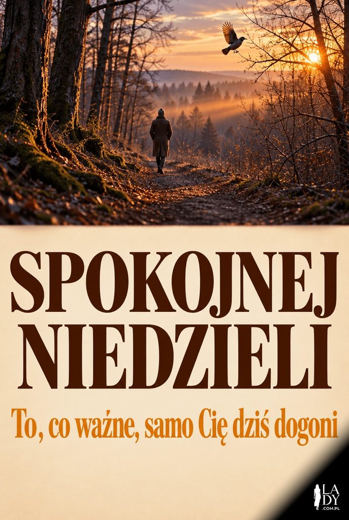 Krajobraz cichej leśnej ścieżki o zachodzie słońca z odlatującym ptakiem, z życzeniami spokojnej niedzieli