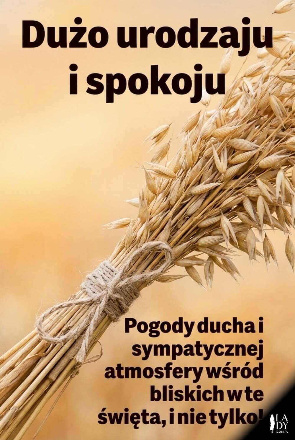 Wiązka kłosów owsa przewiązana lnianym sznurkiem z napisem "Dużo urodzaju i spokoju"