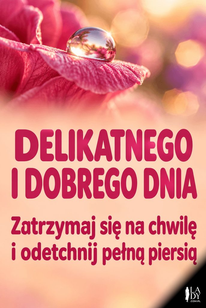 Makrofotografia: kropla rosy na płatku różowej róży z bokeh w tle, poniżej brzoskwiniowa strefa z tekstem "Delikatnego i dobrego dnia".