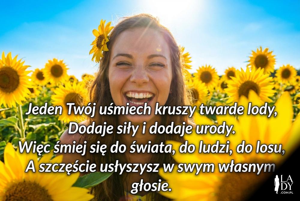 Słoneczniki w słońcu i wiersz o uśmiechu Słoneczniki w słońcu i wiersz o uśmiechu