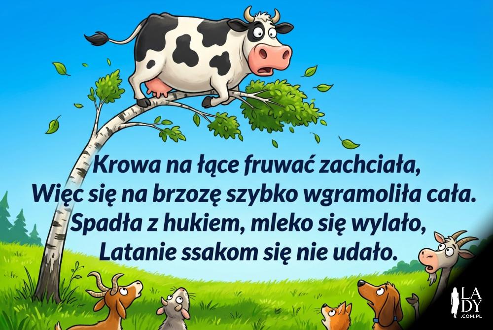 Krowa na drzewie ilustracja do zabawnego wierszyka