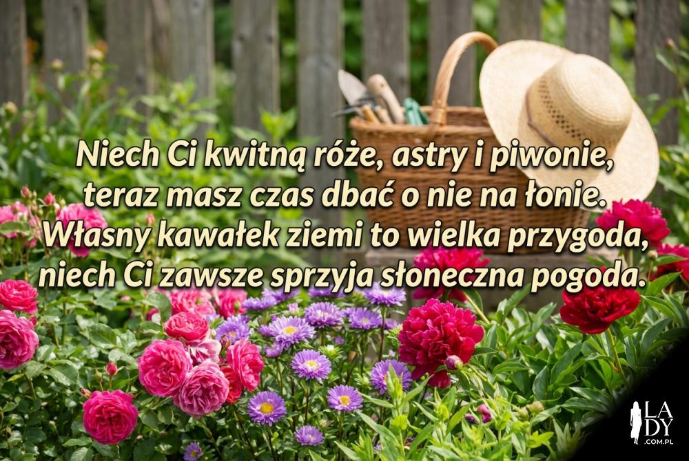Życzenia dla emeryta lubiącego ogród i kwiaty